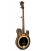Gold Tone EBM 5 Plus Electric Banjo