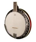 Morgan Monroe MB-50 Banjo