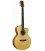 Gold Tone - Baritone Guitar (GBG)