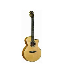 Gold Tone - Baritone Guitar (GBG)