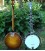 Bellbird Banjos Available in the USA at BanjoTeacher.com