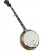 Gold Star GF-300FE Professional Banjo