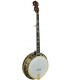 Gold Tone OB-250-G Gold Plated Banjo