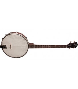 RKT-05 - 4-string Recording King Tenor Banjo