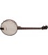 RKT-05 - 4-string Recording King Tenor Banjo