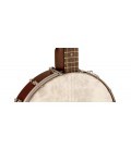 RKT-05 - 4-string Recording King Tenor Banjo