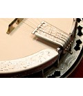 Stelling Banjos on Sale at BanjoTeacher.com!
