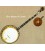 Stelling Banjos on Sale at BanjoTeacher.com!