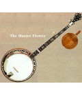 Stelling Banjos on Sale at BanjoTeacher.com!