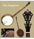 Stelling Banjos on Sale at BanjoTeacher.com!