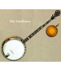 Stelling Banjos on Sale at BanjoTeacher.com!