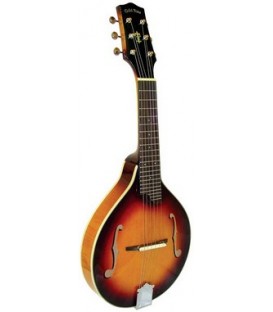 Mandolin - Goldtone  -  GM-6