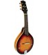 Gold Tone GM-6 Six String Mandolin