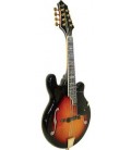 Gold Tone GM-110 Mandolin