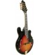 Gold Tone GM-110 Mandolin