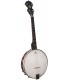 Morgan Monroe Rocky Top  RT-TBO-17  Tenor Banjo