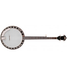 Recording King Banjo - /   Madison Rambler Resonator Banjo RK-R15
