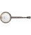 RECORDING KING BANJO - / Bluegrass  Resonator Banjo RK-R18