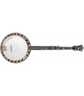 RECORDING KING BANJO - / Bluegrass  Resonator Banjo RK-R18