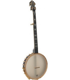 Gold Tone BC-350 Plus