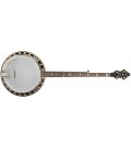 Recording King Banjo - USA Series M5 Resonator Banjo RK-M5