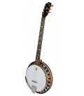 DEERING BOSTON 6-STRING BANJO