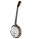 Deering Boston 6-String Banjo