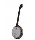 DEERING BOSTON 6-STRING ACOUSTIC/ELECTRIC BANJO