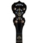 DEERING DELUXE 5-STRING BANJO