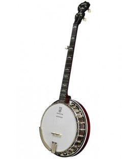 DEERING EAGLE II ACOUSTIC/ELECTRIC 5-STRING BANJO