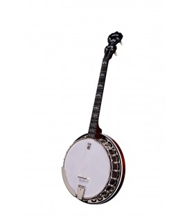 DEERING EAGLE II 19-FRET TENOR BANJO