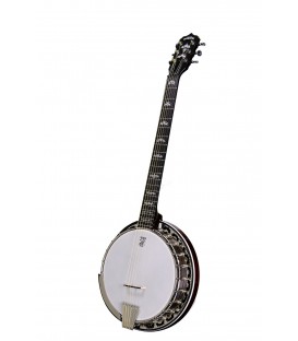 DEERING EAGLE II 6-STRING BANJO