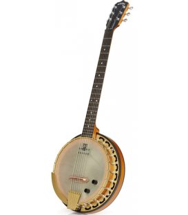 DEERING PHOENIX ACOUSTIC/ELECTRIC 6-STRING BANJO