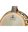 DEERING PHOENIX ACOUSTIC/ELECTRIC 6-STRING BANJO