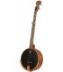 Deering David Holt Model Banjo