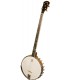 Deering Vega Kingston Trio - Bob Shane Plectrum Banjo