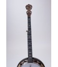 DEERING ARTISAN GOODTIME TWOBANJO