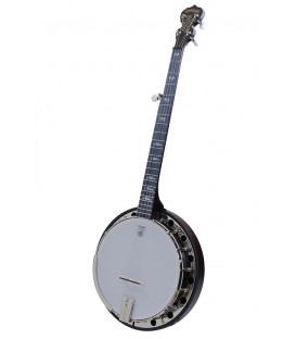 DEERING ARTISAN GOODTIME SPECIAL BANJO