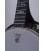 DEERING ARTISAN GOODTIME SPECIAL BANJO
