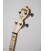 DEERING GOODTIME 17-FRET TENOR BANJO