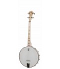 DEERING GOODTIME 17-FRET TENOR BANJO