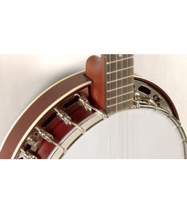 Recording King  Beginner Banjo - "Dirty 30's" - with Resonator