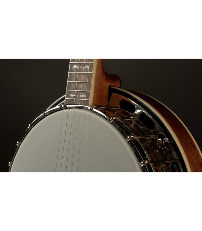 Recording King RK-R35