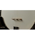 Recording King Banjo - The Madison RK-R35 Resonator Banjo