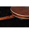 RECORDING KING BANJO - / Madison  6-String Banjo RK-G25