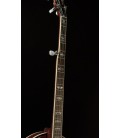 Recording King Banjo - RK- R75 - The Elite
