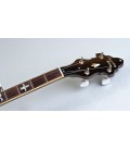 Recording King Banjo USA Series M9 - Walnut