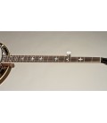 Recording King Banjo USA Series M9 - Walnut