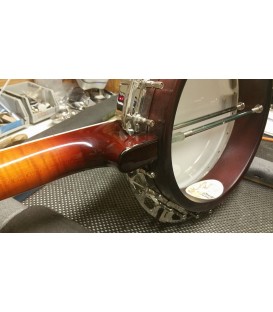 Recording King RK- R85 Elite - Maple Neck and Resonator - Limited Edition