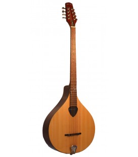 Gold Tone  BZ-500 Irish Bouzouki Mandolin with Cas